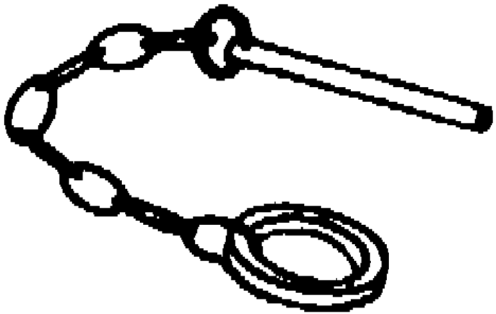Picture of Replacement Pin and Chain for Heavy Duty Shore Post