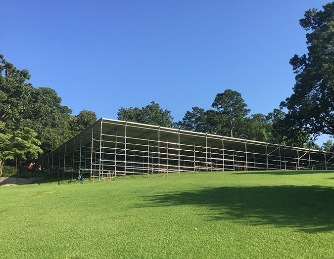 Scaffolding structure